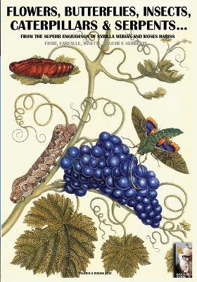 Flowers, butterflies, insects, caterpillars & serpents... From the superb engravings of Sybilla Merian and Moses Hariss - Luca S. Cristini - Libro Soldiershop 2016, Darwin's view | Libraccio.it