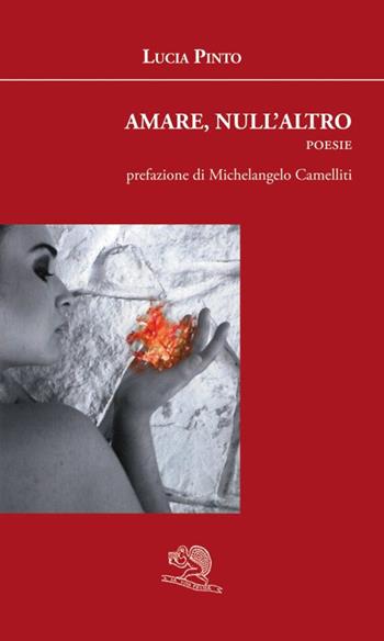 Amare, null'altro - Lucia Pinto - Libro La Vita Felice 2024, Agape | Libraccio.it