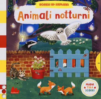 Animali notturni. Scorri ed esplora. Ediz. a colori - Jenny Wren - Libro Gallucci 2017 | Libraccio.it