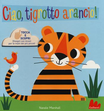 Ciao, tigrotto arancio! Tocca e scopri. Ediz. a colori - Natalie Marshall - Libro Gallucci 2019 | Libraccio.it