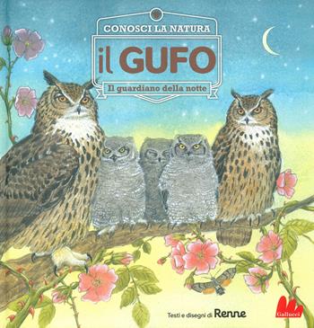 Il gufo. Il guardiano della notte. Conosci la natura - Renne - Libro Gallucci 2020, Indispensalibri | Libraccio.it