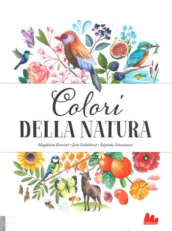 Colori della natura. Ediz. a colori - Jana Sedlácková, Stepánka Sekaninová - Libro Gallucci 2020, Indispensalibri | Libraccio.it