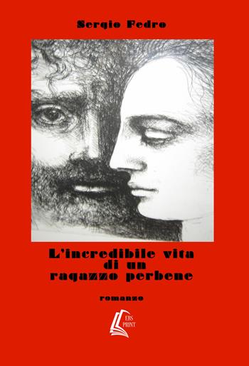 L' incredibile vita di un ragazzo perbene - Sergio Fedro - Libro EBS Print 2017 | Libraccio.it