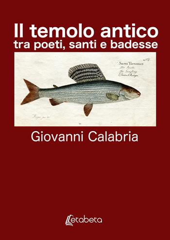 Il Temolo Antico. tra poeti, santi e badesse. Nuova ediz. - Giovanni Calabria - Libro EBS Print 2019 | Libraccio.it