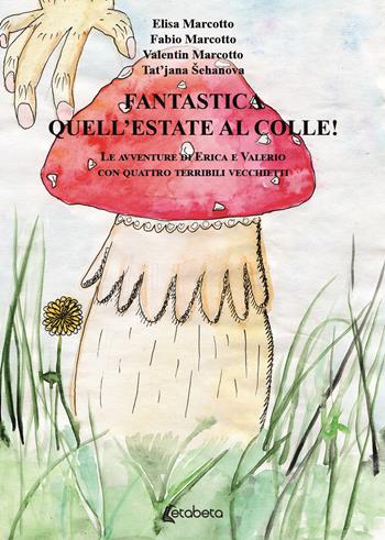 Fantastica quell'estate al colle! Le avventure di Erica e Valerio con quattro terribili vecchietti - Elisa Marcotto, Fabio Marcotto, Valentin Marcotto - Libro EBS Print 2020 | Libraccio.it