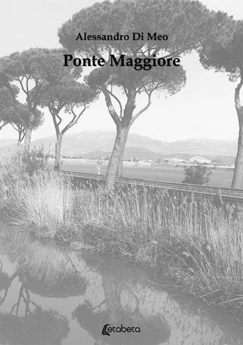 Ponte Maggiore - Alessandro Di Meo - Libro EBS Print 2020 | Libraccio.it
