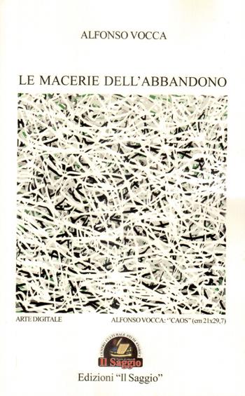 Le macerie dell'abbandono - Alfonso Vocca - Libro Edizioni Il Saggio 2019 | Libraccio.it