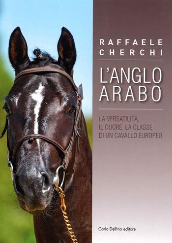 L' Anglo arabo. La versatilità, il cuore, la classe di un cavallo europeo - Raffaele Cherchi - Libro Carlo Delfino Editore 2020 | Libraccio.it