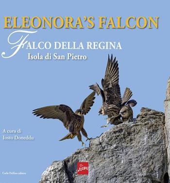 Eleonora's falcon. Falco della regina. Isola di San Pietro. Ediz. a colori  - Libro Carlo Delfino Editore 2022 | Libraccio.it