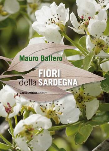 Fiori della Sardegna - Mauro Ballero - Libro Carlo Delfino Editore 2024 | Libraccio.it