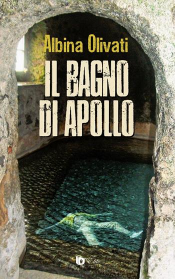 Il bagno di Apollo. Ediz. speciale - Albina Olivati - Libro Edizioni DrawUp 2020, Elite. Narrativa d'autore | Libraccio.it