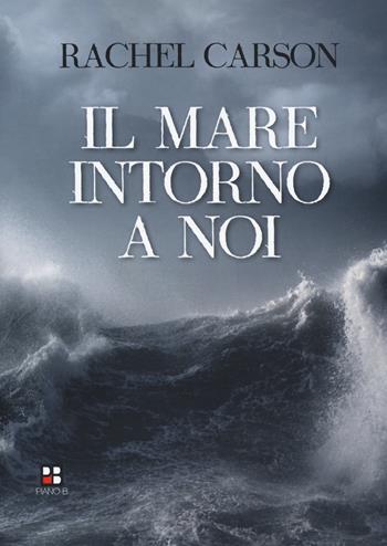 Il mare intorno a noi - Rachel Carson - Libro Piano B 2019 | Libraccio.it