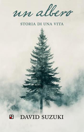 Un albero. Storia di una vita. Ediz. illustrata - David Suzuki - Libro Piano B 2026, Fuoricollana | Libraccio.it
