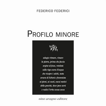 Profilo minore - Federico Federici - Libro Aragno 2021, Domani | Libraccio.it