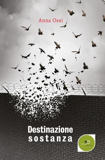 Destinazione sostanza - Anna Osei - Libro Europa Edizioni 2017, Edificare universi | Libraccio.it
