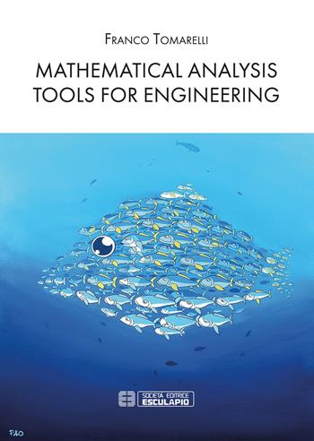 Mathematical analysis tools for engineering - Franco Tomarelli - Libro Esculapio 2019 | Libraccio.it