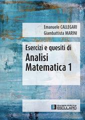 Esercizi e quesiti di analisi matematica 1