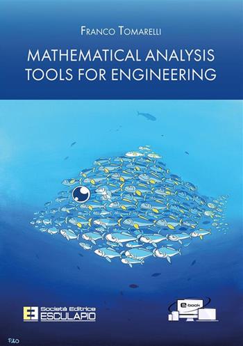 Mathematical analysis tools for engineering - Franco Tomarelli - Libro Esculapio 2024 | Libraccio.it