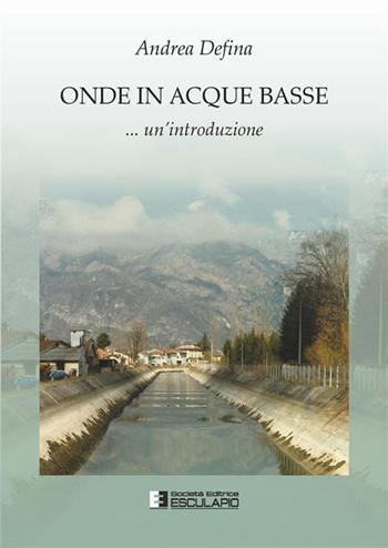 Onde in acque basse - Andrea Defina - Libro Esculapio 2024 | Libraccio.it