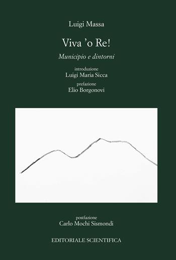 Viva 'o Re. Municipio e dintorni - Luigi Massa - Libro Editoriale Scientifica 2017, Punto org | Libraccio.it