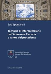 Tecniche di interpretazione dell'Adunanza Plenaria e valore del precedente