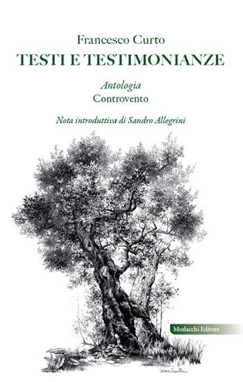 Testi e testimonianze. Antologia controvento - Francesco Curto - Libro Morlacchi 2026 | Libraccio.it