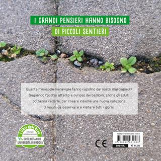 Piccolo verde. Ediz. illustrata - Chiara Carminati, Massimiliano Tappari - Libro Editoriale Scienza 2022, Sguardi d'autore | Libraccio.it
