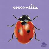 Coccinella. Ediz. a colori