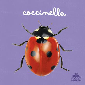 Coccinella. Ediz. a colori - Micol Doria - Libro Editoriale Scienza 2025, Visti da vicino | Libraccio.it