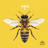 Ape. Primi libri fotografici per osservare la natura da vicino! Ediz. a colori