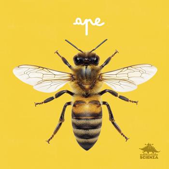 Ape. Primi libri fotografici per osservare la natura da vicino! Ediz. a colori - Micol Doria - Libro Editoriale Scienza 2026, Da vicino | Libraccio.it