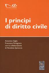 I principi di diritto civile