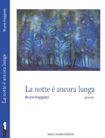 La notte è ancora lunga - Bruno Foggiato - Libro Medianaonis 2015, Poesia | Libraccio.it