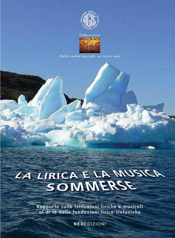 La lirica e la musica sommerse. Rapporto sulle istituzioni liriche e musicali  - Libro NED (Roma) 2016 | Libraccio.it