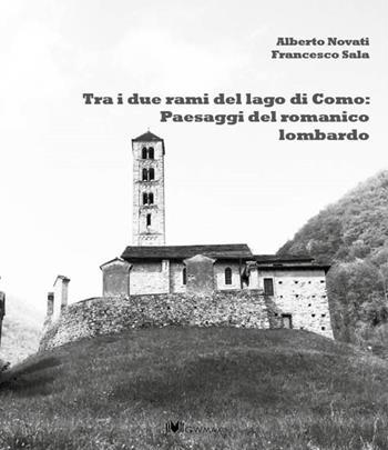 Tra i due rami del lago di Como: panorami del romanico lariano - Alberto Novati, Francesco Sala - Libro GWMAX 2016 | Libraccio.it