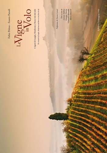 Le vigne in volo. I vigneti di Langhe, Monferrato e Roero visti dal cielo. Ediz. italiana e inglese - Fabio Polosa, Fausto Parodi - Libro Immagine.com 2015 | Libraccio.it