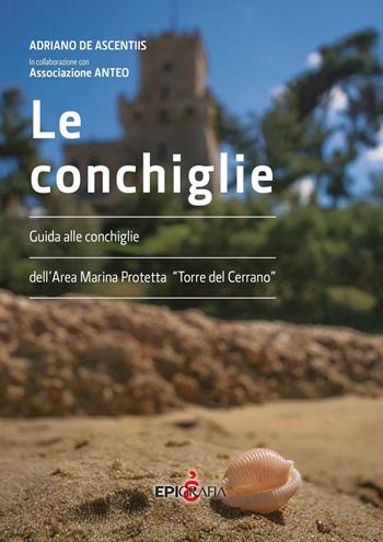 Le conchiglie. Guida alle conchiglie dell'area marina protetta "Torre del Cerrano" - Adriano De Ascentiis - Libro Epigrafia 2016 | Libraccio.it