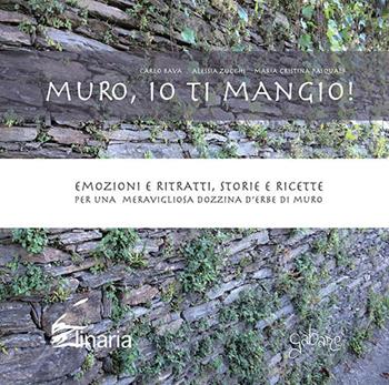 Muro, io ti mangio! Emozioni e ritratti, storie e ricette per una meravigliosa dozzina d'erbe di muro - Carlo Bava, Alessia Zucchi, Maria Cristina Pasquali - Libro Linaria 2018 | Libraccio.it