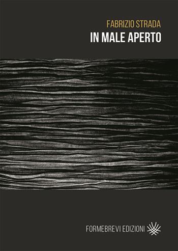 In male aperto - Fabrizio Strada - Libro Formebrevi Edizioni 2016 | Libraccio.it