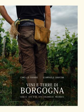 Vini e terre di Borgogna. Chablis, Côte d'Or, Côte Chalonnaise, Mâconnais. Ediz. critica - Camillo Favaro, Giampaolo Gravina - Libro Fil Rouge 2018 | Libraccio.it
