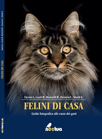 Felini di casa. Guida fotografica alle razze dei gatti - Alice Cipriani, M. Loschi, Marco Mastrorilli - Libro Noctua Book 2017 | Libraccio.it