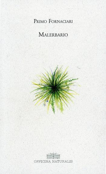 Malerbario - Primo Fornaciari - Libro Officina Naturalis 2019, Giardino, terra | Libraccio.it