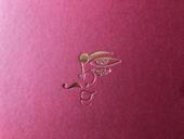 The shape of self. Trans identity in West Bengal. Ediz. italiana e inglese