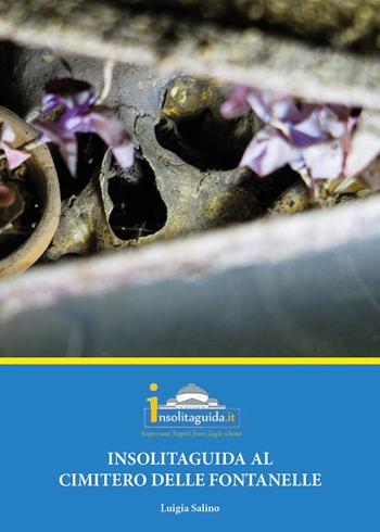 Insolitaguida al Cimitero delle Fontanelle - Luigia Salino - Libro Insolitaguida Napoli 2018 | Libraccio.it