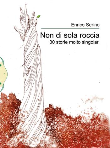 Non di sola roccia. 30 storie molto singolari - Enrico Serino - Libro Il Babi 2020 | Libraccio.it