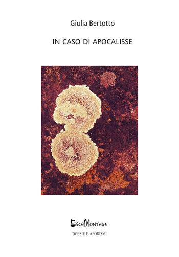 In caso di Apocalisse - Giulia Bertotto - Libro EscaMontage 2019, Poesie | Libraccio.it