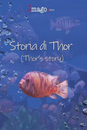 Storia di Thor-Thor's story. Ediz. bilingue - Annastella Gambini, Piera Braga, Sabrina Croci - Libro Imago Editor 2023 | Libraccio.it