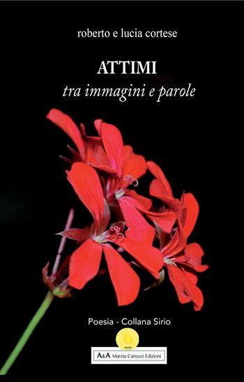 Attimi tra immagini e parole - Roberto Cortese - Libro A&A di Marzia Carocci 2019, Sirio | Libraccio.it