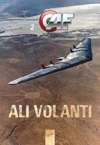 Ali volanti - Luca Parrillo - Libro Luckyplane 2020, Aerofan focus | Libraccio.it
