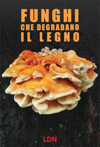 Funghi che degradano il legno. Dinamiche di azione e conseguenze per gli alberi in ambiente forestale e urbano  - Libro Libreria della Natura 2020 | Libraccio.it